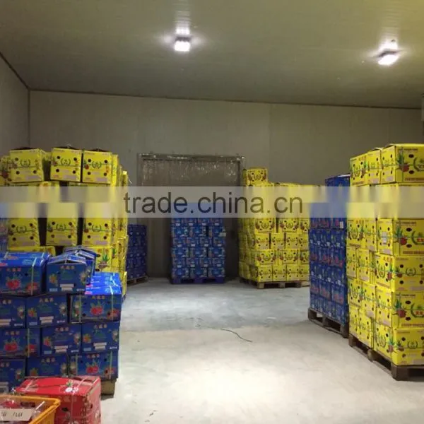 VIETNAM DRAGON FRUIT photo-5