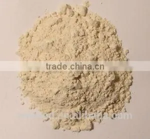 Dehydrated Garlic Powder photo-2