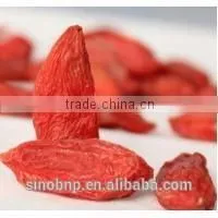 China BNP Certified Organic & Top Quality Goji Berry Concentrate Juice photo-3