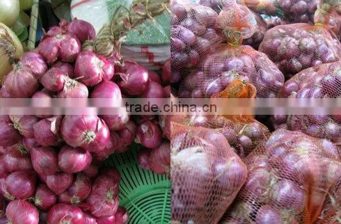 Cheap Mature Coconut photo-2
