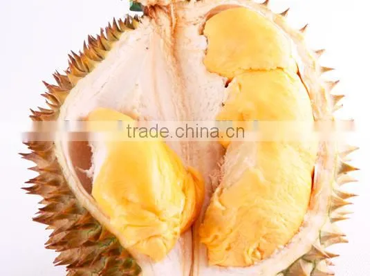 GMP Natural High Quality Durian Extract Powder/Durian Powder photo-3