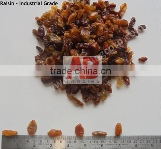 Black Raisins Good Quality /Dried Raisins From India / Best Quality photo-3