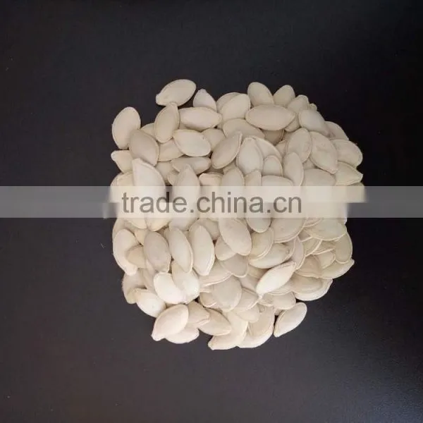 Export Shine Skin Pumpkin Seeds 2015 New Crop photo-3