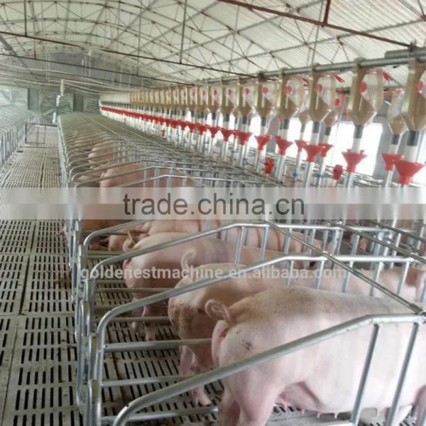 Poultry Farm Machinery Gestation Crates Stalls For Pigs photo-4