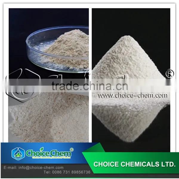 China Manufacturer Supply L-Tryptophan for Best Price photo-5