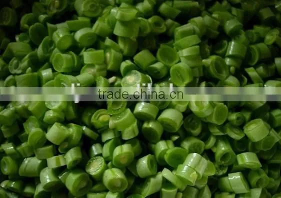 Stainless Steel Automatic Vegetable and Fruit Cutting Machine photo-2