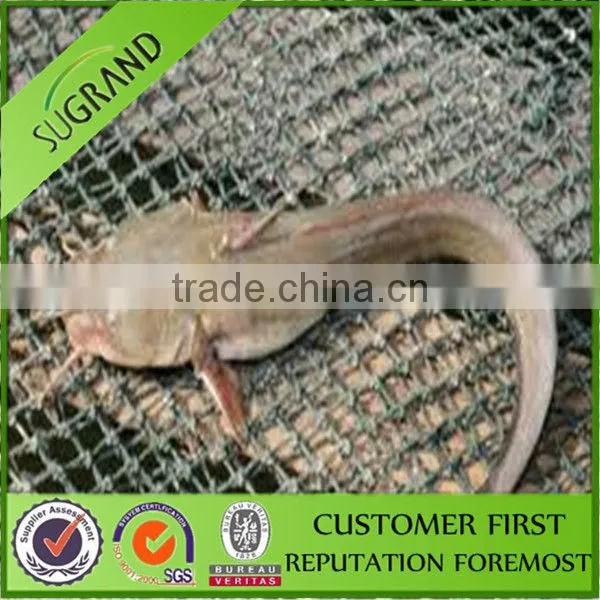 Strong Fishing Nets