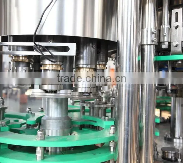 Beer Bottle Filling Machine photo-2
