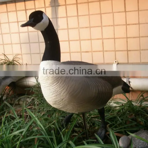 Wholesale Canada Goose Decoy for Hunting, Garden Decorative Goose Mold photo-4