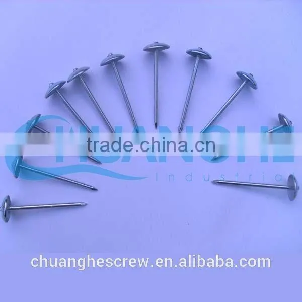 Red Color Head Galvanized Roofing Nail photo-5