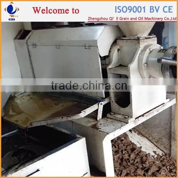 Batch Type Sunflower Oilmoringa Seed Oil Extraction Machine photo-5