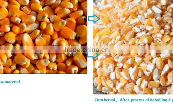 High Quality Maize Flour Grinding Equipment Electric Flour Mill Process Machinery Corn Maize Flour Milling Plant photo-5