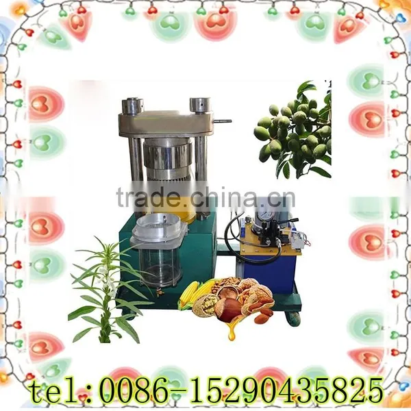 6YY Peanut Oil Press Machine photo-2