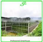 Multi Span Vegetable Greenhouse for Sale photo-5