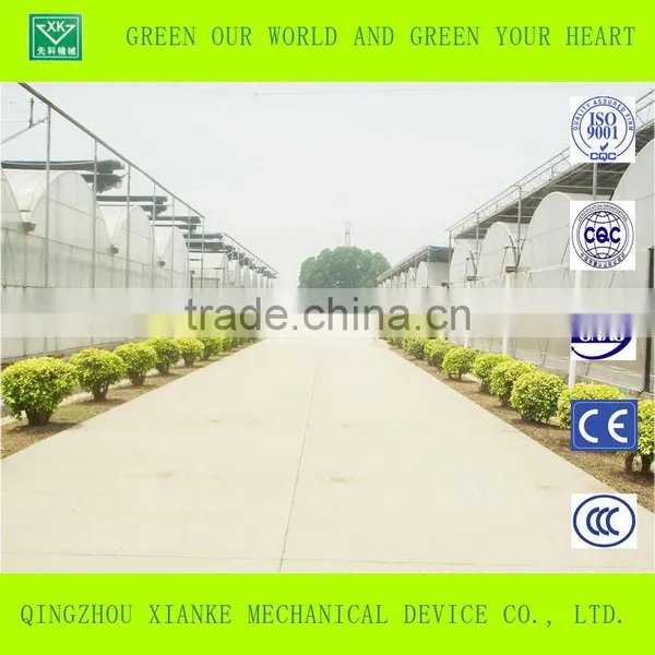 China Best Agricultural and Restaurant Greenhouse Manufacturer With Richest Experience in Shandong Province photo-3