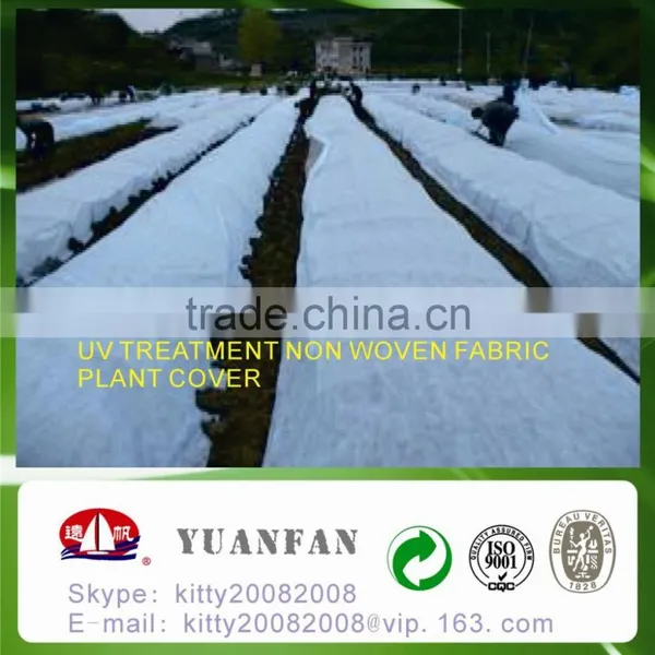 Agriculture Industrial Use and Fruit Use White / Green / Blue Nonwoven Fabric photo-5