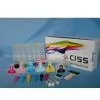 CISS for HP02/801/363