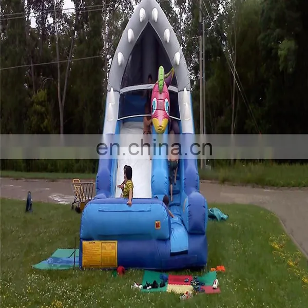 Best Selling Commercial Large Inflatable Water Slides for Sale / Large Inflatable Dry Slide photo-5