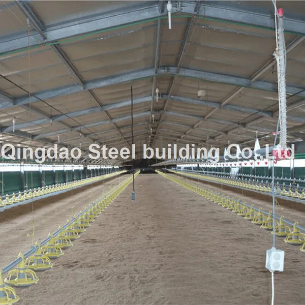 China Prefabricated Steel Structure Chicken House /Pheasantry/Farming of Layer/Dorking