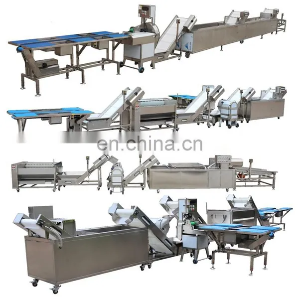 Stainless Steel Apple/pear/mango/fruit/vegetable Washing/cleaning/processing Machine/equipment photo-4