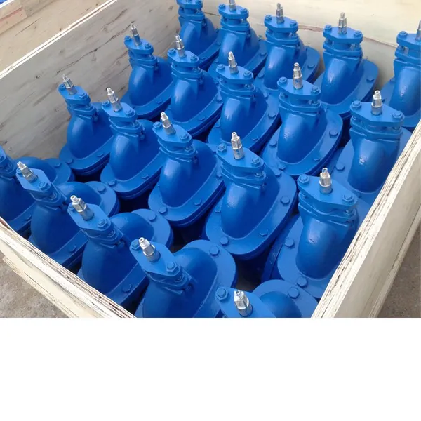 BS Rising Stem Resilient Seat Gate Valve Rubber Lined for Potable Water photo-3