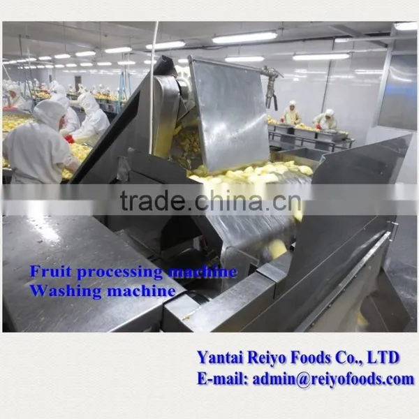Fruits and Vegetable Washing Machine / Impurity Removing and Cleaning Machine photo-5