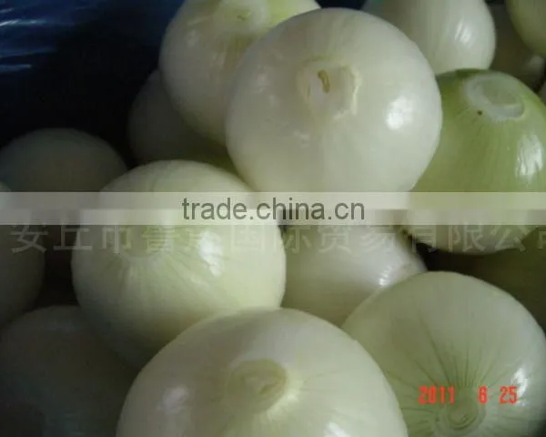 2014 New Crop High Quality Yunnan Fresh Yellow Onion photo-2