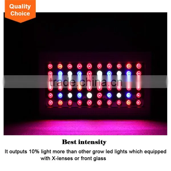 Shenzhen Manufacturers High Lumen 300w Led Light Grow Plant Lamp photo-6