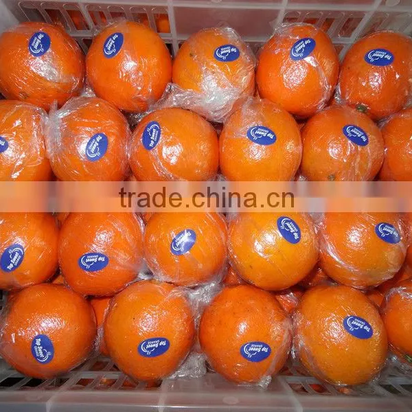 Navel Orange/Mandarin Orange/Big Mandarin