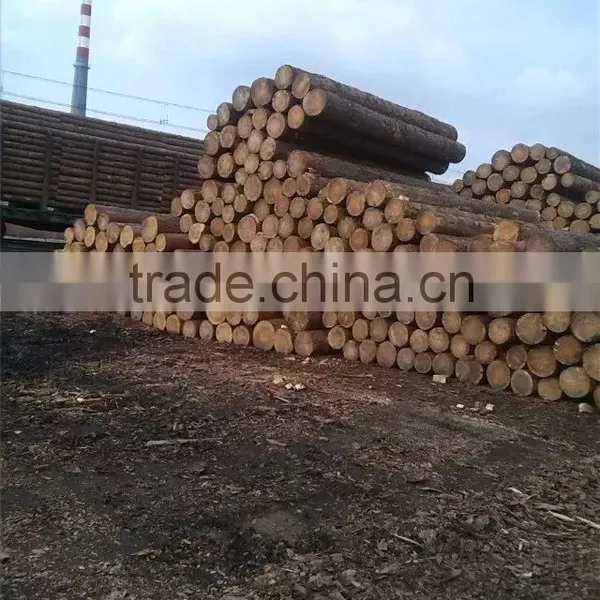 Russian Pine Birch Logs