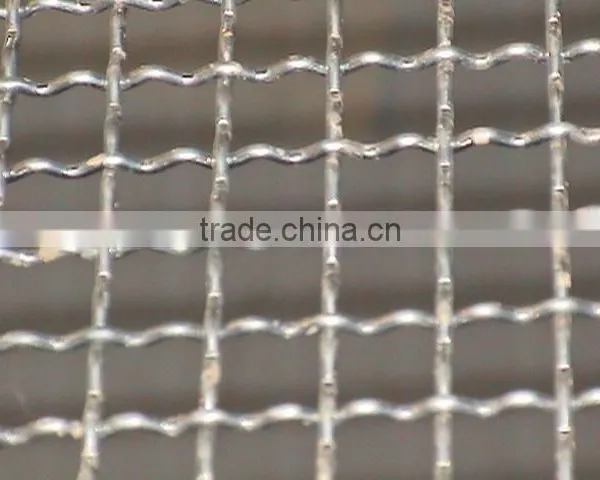 Lowest Price Standard 316 Galvanized Square Wire Mesh photo-3