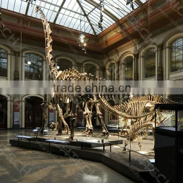 (Xmas Promotion!) RichTech Cool Effects Commercial Use 3D Hologram Showcase photo-6