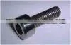 Titanium Bolt