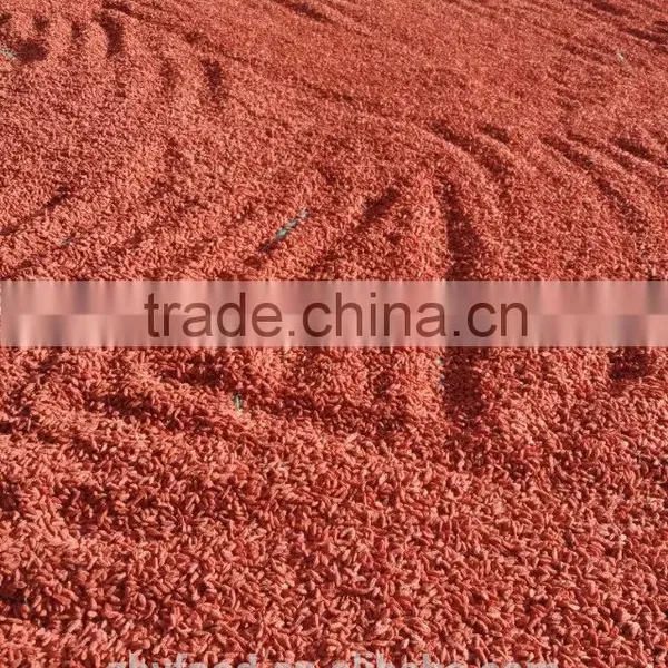 Dried Goji Berry 650grains/50g photo-3
