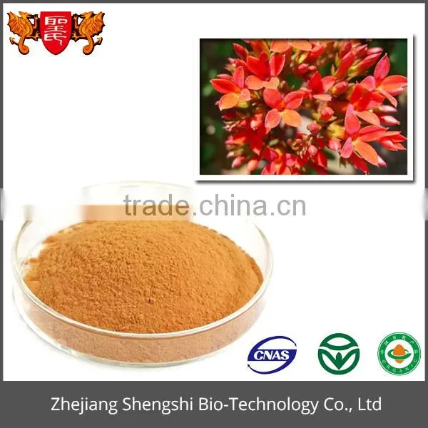 Organic Rhodiola Rosea Extract, Rhodiola Rosea Powder Extract photo-2