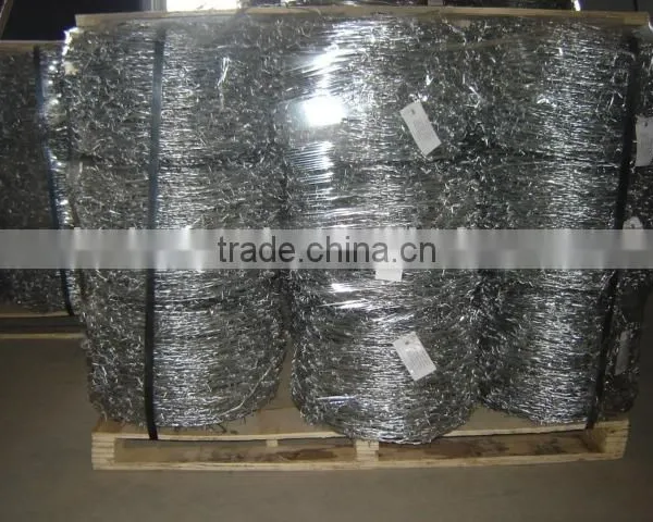 Factory - Barbed Wire photo-5