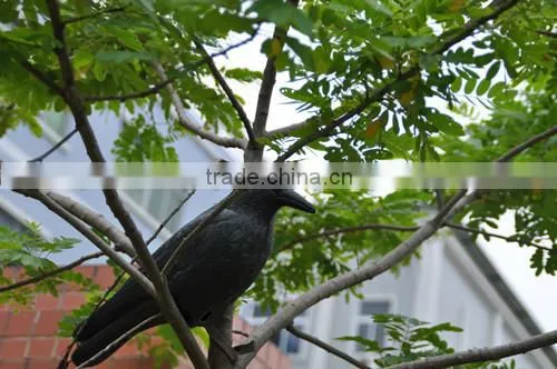 2015 China Singrun New Bird Crow Decoys for Garden Hunting photo-3
