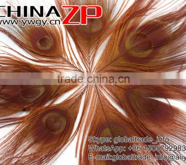 CHINAZP Factory Bulk Sale Top Selling Dyed Brown Trimmed Short Peacock Feathers for Clothes Accessories photo-3