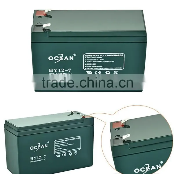 Nominal 12V Best Selling Electronic 7ah Battery Inverter photo-4