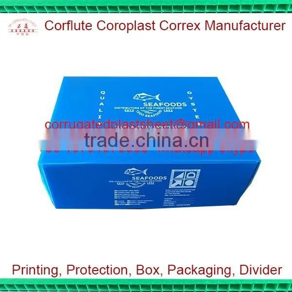 pp Plastic Corflute Oyster Box photo-2