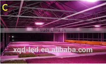 XQD 180w/270w/450w LED Plant Grow Light Full Spectrum Shenzhen photo-5