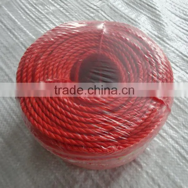 3 or 4 Strand Polyethylene Rope photo-3