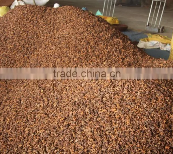 Viet Nam Star Aniseed photo-5