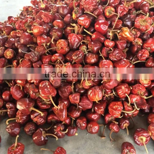 Dried Round Red Chilles photo-3