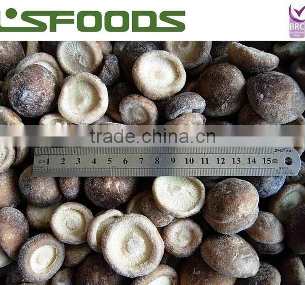 2015 New Harvest Frozen IQF Shiitake Mushroom photo-5