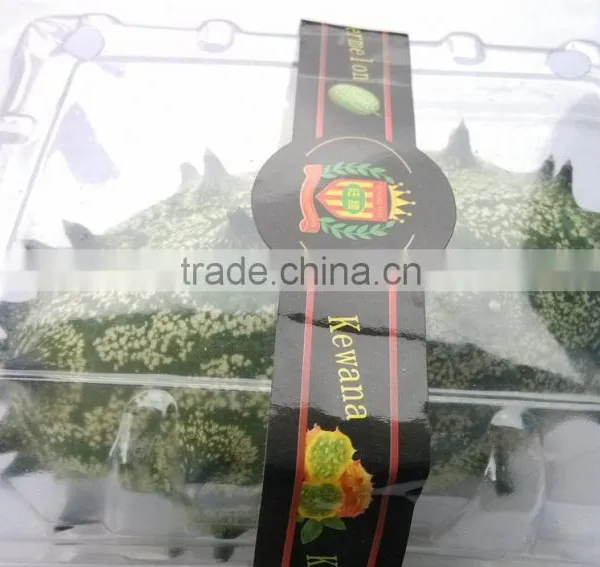 Kewana Seeds Jelly Melon Seeds The Horned Melon For Growing photo-3