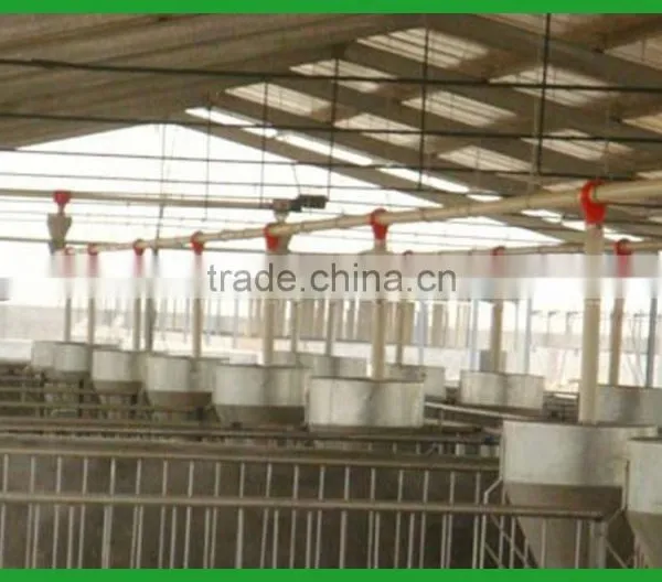 Pig Feeding Equipments / Automatic System photo-3