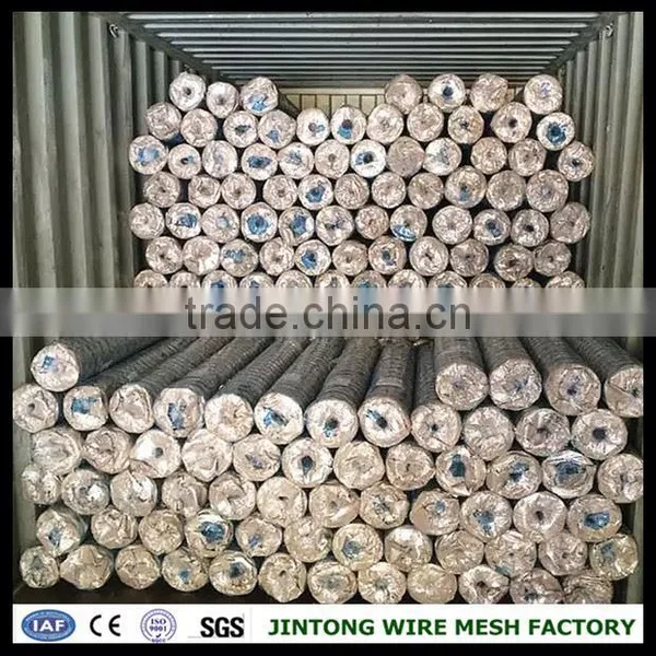 Square Chicken Wire Mesh Chicken Wire Mesh Specifications Chicken Wire Mesh Kenya photo-5