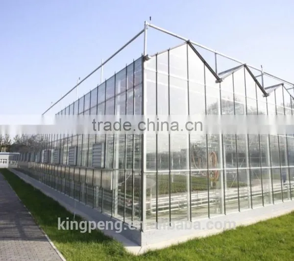Venlo Glass Greenhouse for Tomato Cucumber Flower Horticulture photo-3