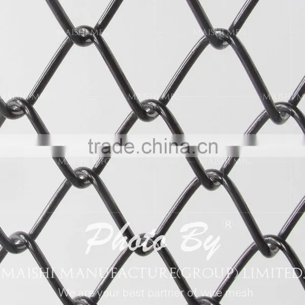 Chicken Chain Link Fence photo-3